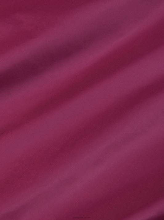 flwrdwn vesta R6FH443 švestkově fialová oblečení Pangaia ženy