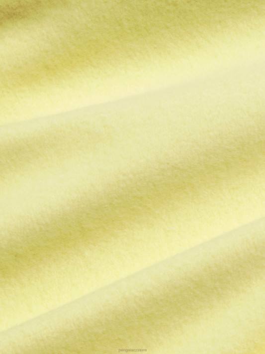 v konverzní bavlněné mikině s kapucí R6FH65 sluneční paprsek žlutý oblečení Pangaia ženy